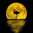 Officials. Discord server icon