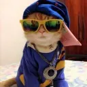 pipa_random