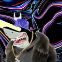 Shark social Club