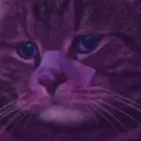 Лігво Лисого