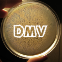 DMV Petri Dish Server Icon