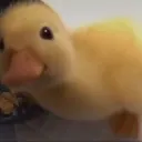 오프레