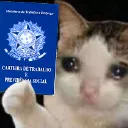 Coitados Tech