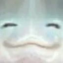 트친들 모으는 곳.