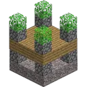 ClassicCraft