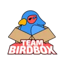 @teambirdbox