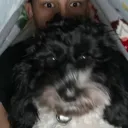 skir & the gng🤝's icon