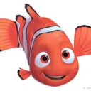 EiT-Nemo