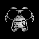 Bad Monkey