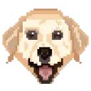 Dog Folks