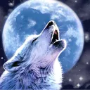 The MoonLight Den
