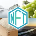 ふるさと納税×NFTはわしが育てた