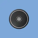 ADA Pucks