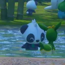 Poke Regional