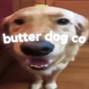 ButterDogCo