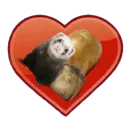 Show_patate et Furet