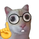 KELUARGA KUCING