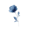 -ᴍᴏᴏɴ'ꜱ ꜰʟᴏᴡᴇʀꜱ-