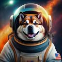 AiAkita icon