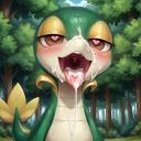Server Icon