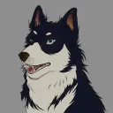 Bored Husky