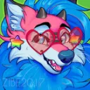 Furrys BR's