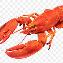 Red Lobster Official Fan Group Discord Server Icon
