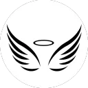 Angel Collective