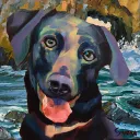 Galerie Dog