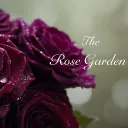 The Rose Garden