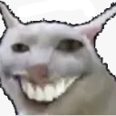 THE BEST FRIENDS SERVER