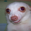 Weird kids Server Icon