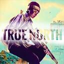 TrueNorth Dayz Survival Discord Server Icon