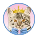 Herding Cats NFT