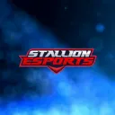 STALLION ESPORTS