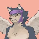 Cool Wolf NFT