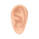 Some Ears NFT