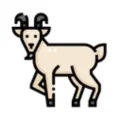 Swag Goat Productions