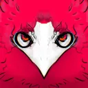Birbania Hangout