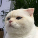 Toxic Alts Server Icon