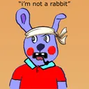 "not a rabbit hole"
