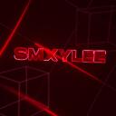 SMXYLEE'S HUBTM Discord Server Icon