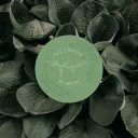 Ivy's Market
