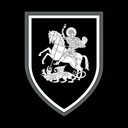 5./PzBtl 414