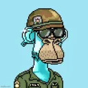 Basic Ape Society