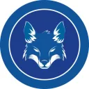 Fã Token Cruzeiro