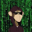 ApesinWork