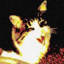 deep fried