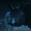 Black Wolf Saloon