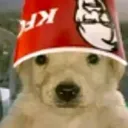 BENKO#200 Discord Server Icon